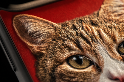Near-top-down macro of a Youvfy cat case with raking light, fur strokes throwing micro-shadows showing the dimensional 2.5D relief